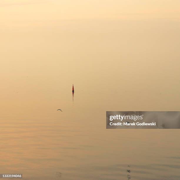 peaceful sunset over the sea, port marker reflecting in the calm water with sea birds flying by - romantische stimmung stock-fotos und bilder