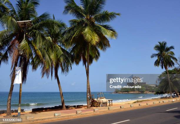 lumley beach - coconut trees along lumley beach road, aberdeen, freetown's main beach, sierra leone - sierra leone beach stock pictures, royalty-free photos & images