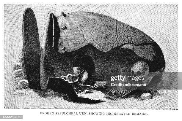 old engraved illustration of prehistoric graveyard, broken sepulchral urn, showing incinerated remain - prehistoric man fotografías e imágenes de stock