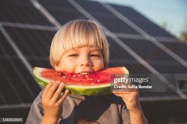 small boy with watermelon - child eating juicy stock pictures, royalty-free photos & images