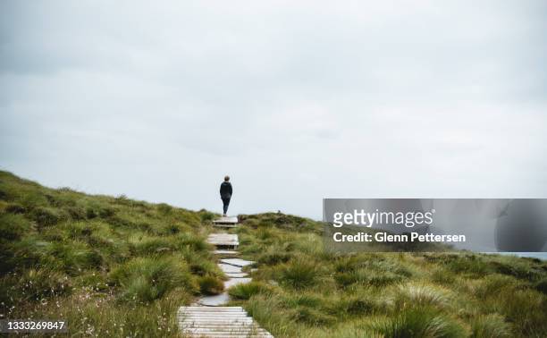 person walking in path in nature. - norway bildbanksfoton och bilder