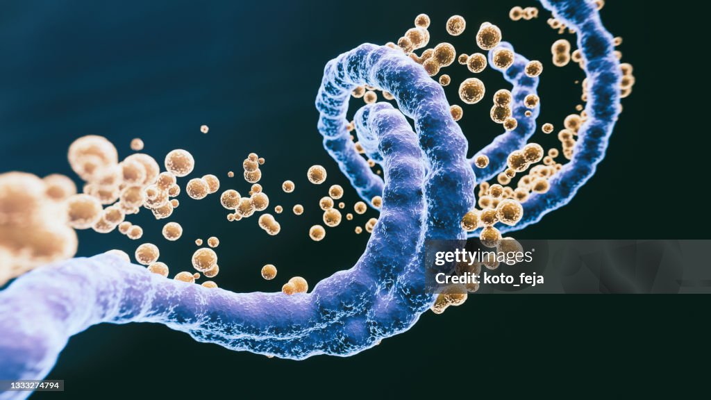 Abs Virus