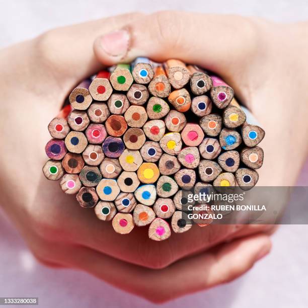 two caucasian hands catching or holding a stack of wooden multi colored pencils showing the back part on white background. - hand pen photos et images de collection