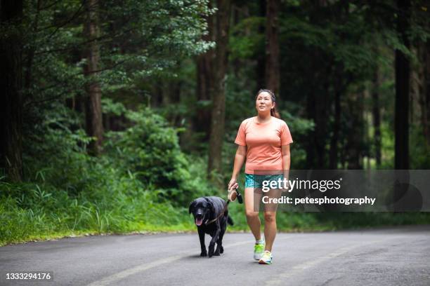 mujer caminando con su perro por un camino forestal - dog walking fotografías e imágenes de stock