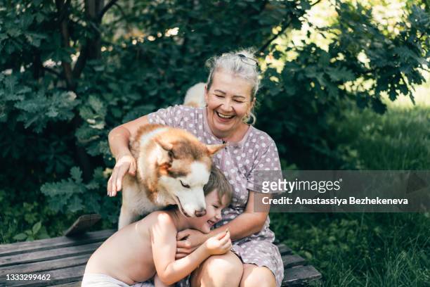 grandmother playing with her grandson and dog outdoors - family dogs stock-fotos und bilder