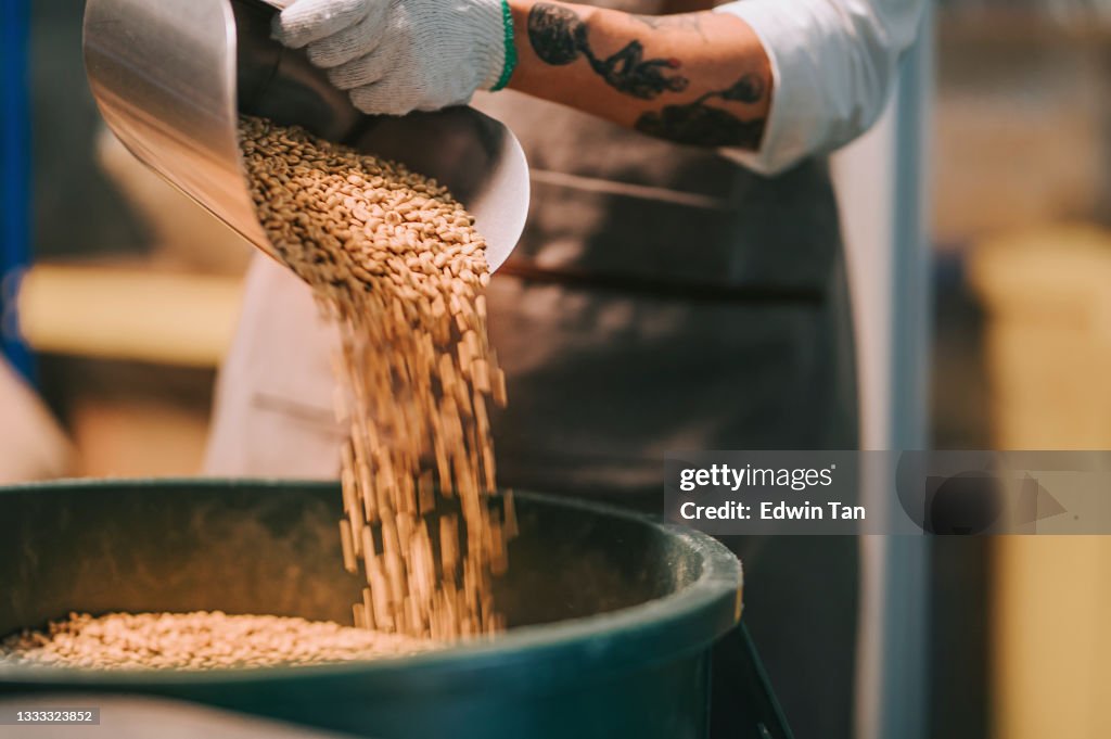 Asian chinese working senior man scooping raw coffee beans from bucket to weighing machine and blending it for coffee roasting process in factory warehouse