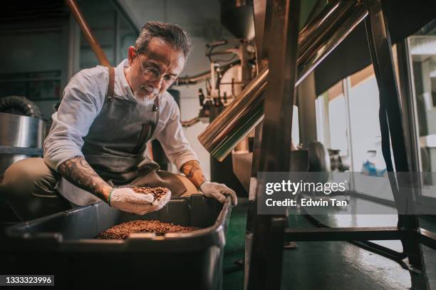 asian chinese senior man craftsperson examining roasted coffee bean de-stoning stone removal process after spinning out from cooling process in his factory - brewers stock pictures, royalty-free photos & images