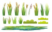 Set of plants and a objects. Grass, shrubs, reeds and cattails. Small swamp, pond, lake or puddle. Isolated on white background. Miltic design flat style. Illustration vector