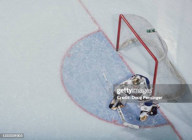 Jim Carey,Goaltender for the Washington Capitals in motion on the ice during the NHL Eastern Conference Southeast Division game against the Calgary...