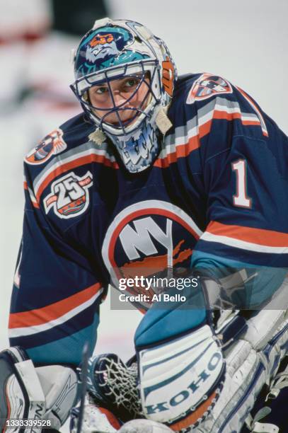 Eric Fichaud, Goaltender for the New York Islanders looks on during the NHL Eastern Conference Atlantic Division game against the New Jersey Devils...