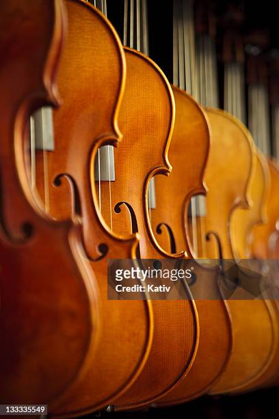 rows of violins - classical category stock pictures, royalty-free photos & images