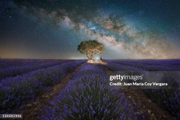 a beautiful and scented night under the milky way - brihuega (guadalajara, spain) - force field stock pictures, royalty-free photos & images