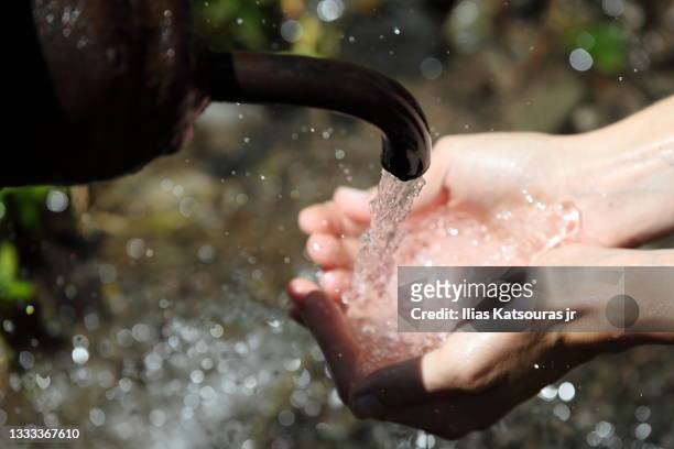 hands of woman under fresh water spring, focus on water,  in borjomi - süßwasser stock-fotos und bilder