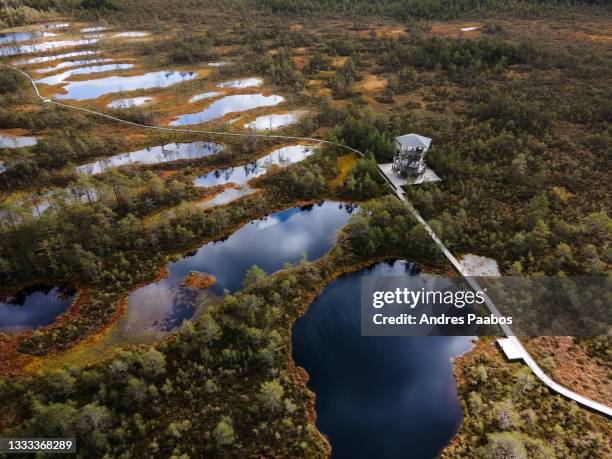 aerial view of a footpath and tower at a european bog - estonia stock pictures, royalty-free photos & images