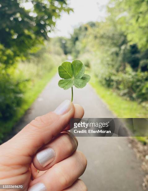 lucky day - four leaf clover stock pictures, royalty-free photos & images