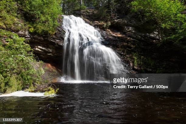 scenic view of waterfall in forest,sheephouse falls,canada - terry woods stock pictures, royalty-free photos & images