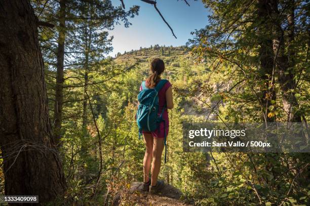 rear view of woman standing on mountain against sky,steamboat springs,colorado,united states,usa - steamboat springs stock pictures, royalty-free photos & images