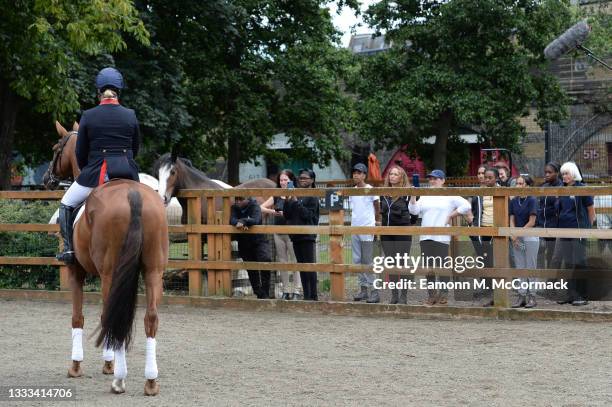 Tina Cook 56 Japan Equestrian Federation Stock Photos, High-Res Pictures, and ...