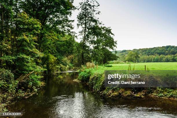 tranquil river countryside scene with green grass and trees - canal trees stockfoto's en -beelden