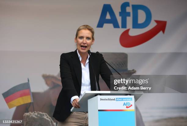 Alice Weidel, co-lead candidate for the Alternative for Germany party, speaks at an AfD campaign rally on August 10, 2021 in Schwerin, Germany. The...