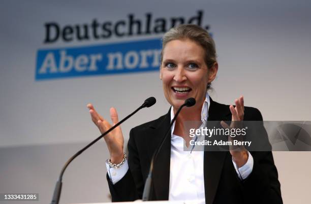 Alice Weidel, co-lead candidate for the Alternative for Germany party, speaks at an AfD campaign rally on August 10, 2021 in Schwerin, Germany. The...