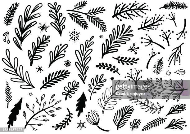 ilustrações de stock, clip art, desenhos animados e ícones de hand drawn christmas plants and floral patterns - galhinhos