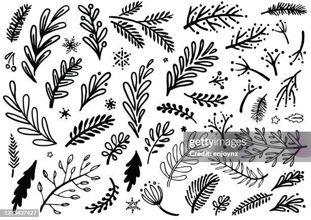 hand drawn christmas plants and floral patterns - winter flowers stock illustrations