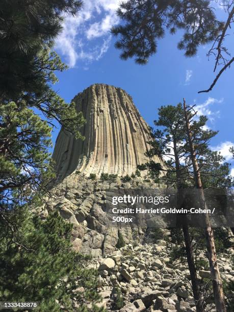 Devils Mount Tree Mount Harriet National Park Photos and Premium High Res Pictures ...