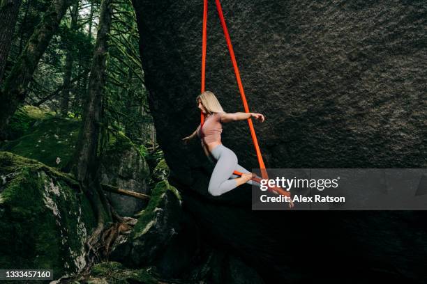 female performs on aerial silk in rainforest - jungle gym stockfoto's en -beelden