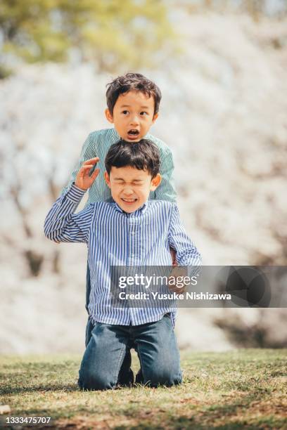 brothers frolicking in front of cherry blossoms - geschwister frech stock-fotos und bilder