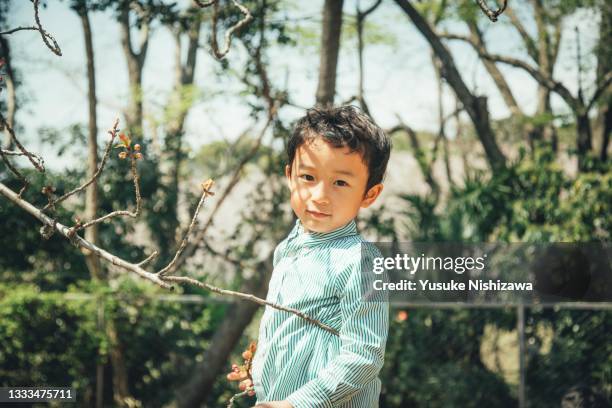 a boy playing outdoors - cute japanese boy stock-fotos und bilder