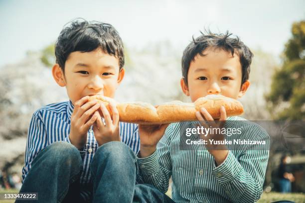 brothers eating bread together in front of cherry blossoms. - 8歳から9歳 ストックフォトと画像