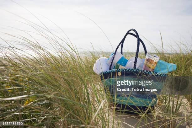 beach bag packed for day at beach - strandväska bildbanksfoton och bilder