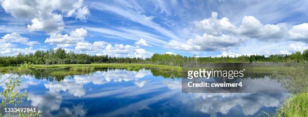 alaska lake mit wolkenreflexion - landscape forest blue sky stock-fotos und bilder