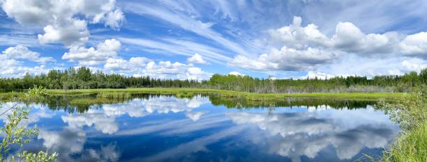 alaska lake with cloud reflection - spring landscape stock pictures, royalty-free photos & images