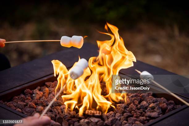 cooking s'mores by a fire pit - marshmallow stockfoto's en -beelden