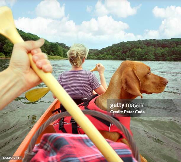 couple with dog in canoe on lake - basket sport stock pictures, royalty-free photos & images