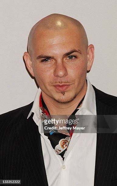 Pitbull poses in the press room during the 2010 American Music Awards held at Nokia Theatre L.A. Live on November 21, 2010 in Los Angeles, California.