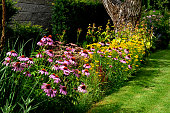 perennial flower bed with a predominance of purple in the garden and parks with bulbs
