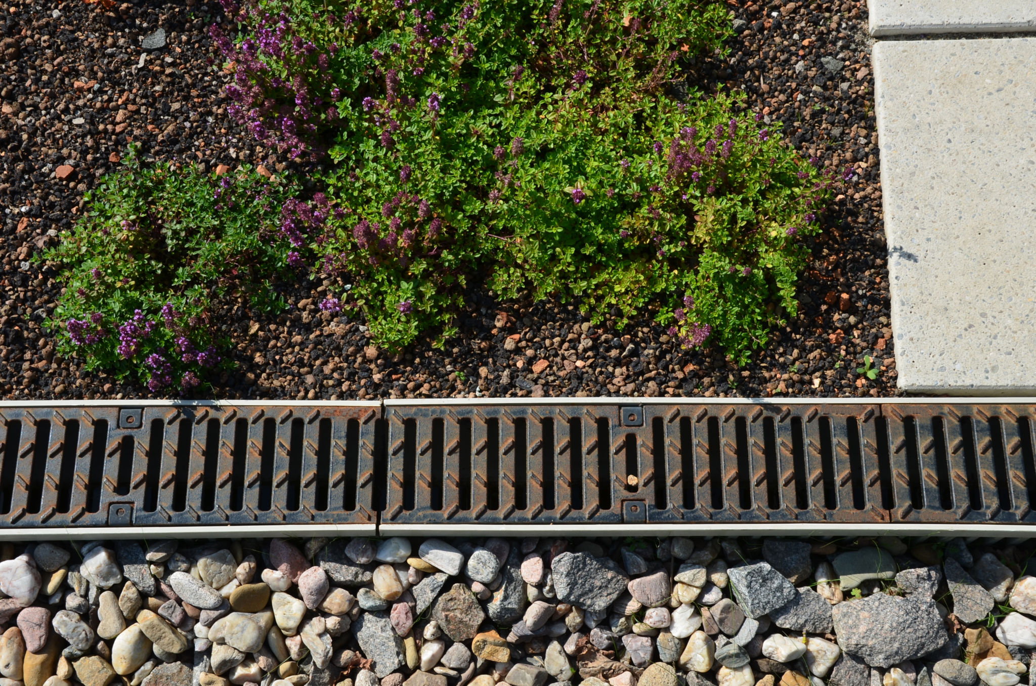 garden drainage
