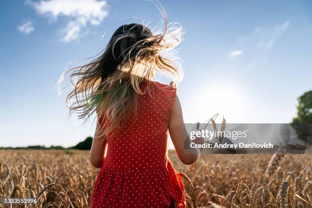 photo du dos d’une petite fille debout dans un champ de blé mûr, tandis que ses cheveux flottent dans le vent. - wind photos et images de collection