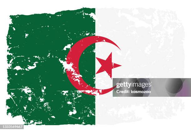 bildbanksillustrationer, clip art samt tecknat material och ikoner med grunge styled flag of algeria - algeriska flaggan