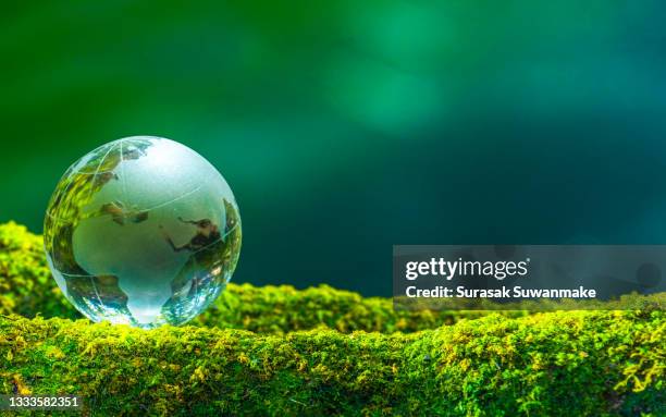 concept of earth protection day or environmental protection hands to protect the growing forest - objetivos de desenvolvimento sustentável imagens e fotografias de stock