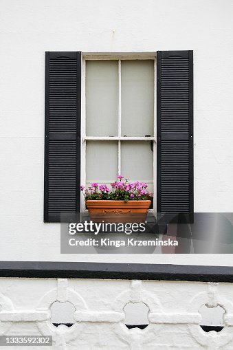 Window Window