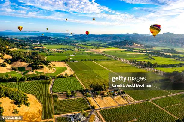 hot air ballooning over napa valley, ca - napa county stock pictures, royalty-free photos & images