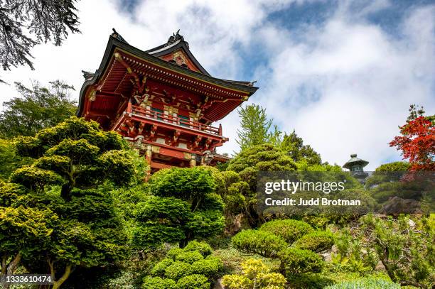 japanese tea garden - japanese tea garden stock pictures, royalty-free photos & images