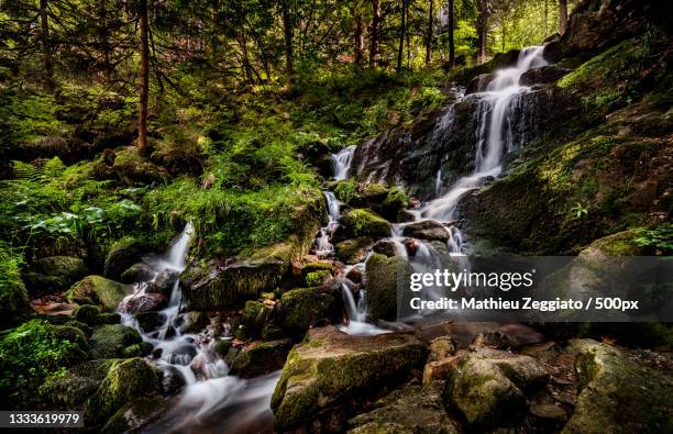 scenic view of waterfall in forest,alsace,france - cascade france stock-fotos und bilder