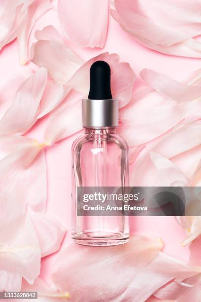 the glass bottle with cosmetic liquid placed on petals of flowers on a pink background. concept of body care. flat lay style - rosenfarben stock-fotos und bilder