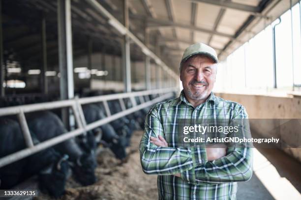 ritratto di agricoltore anziano sorridente in fattoria di bufali - agricoltore foto e immagini stock