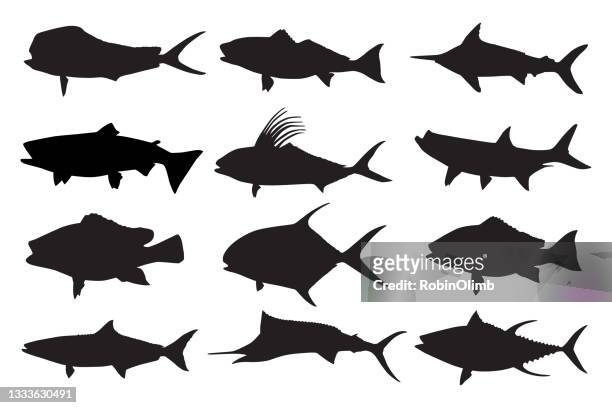 ilustrações, clipart, desenhos animados e ícones de silhuetas de peixe - atum animal
